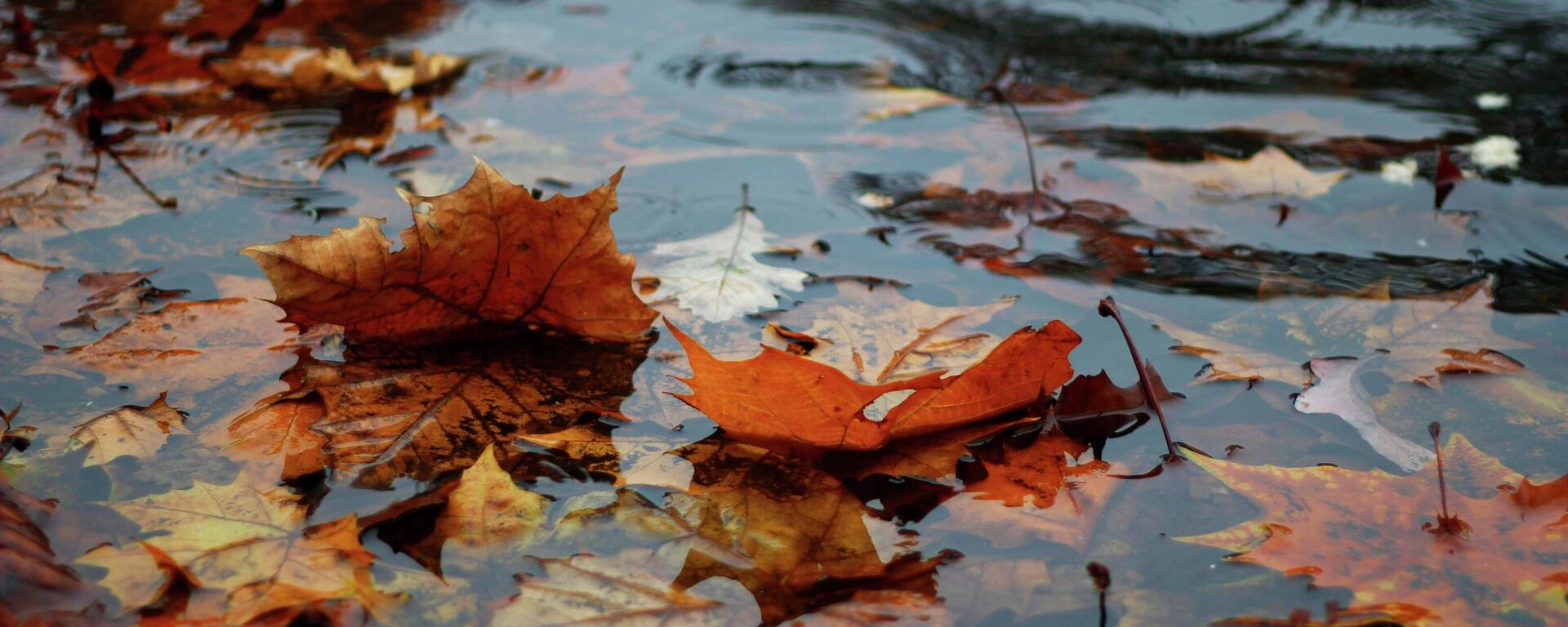 Погода в Кыргызстане  - Sputnik Кыргызстан, 1920, 14.09.2025