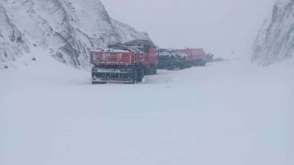 Иллюстративдик сүрөт - Sputnik Кыргызстан