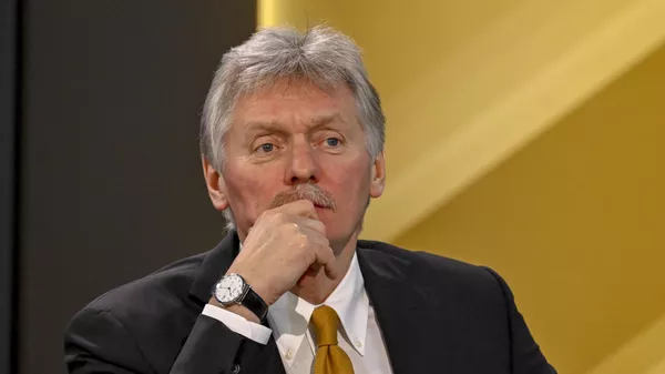 РФ президентинин маалымат катчысы Дмитрий Песков. Архив - Sputnik Кыргызстан