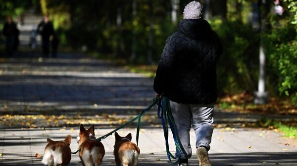 Күз - Sputnik Кыргызстан