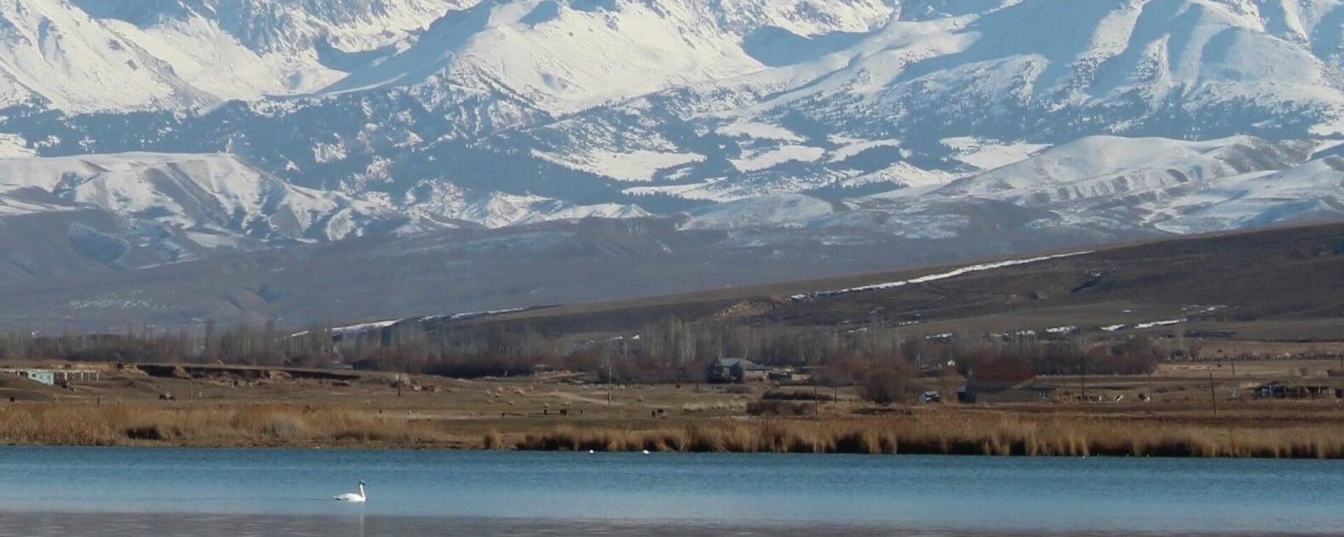 Природа Кыргызстана - Sputnik Кыргызстан, 1920, 16.01.2026