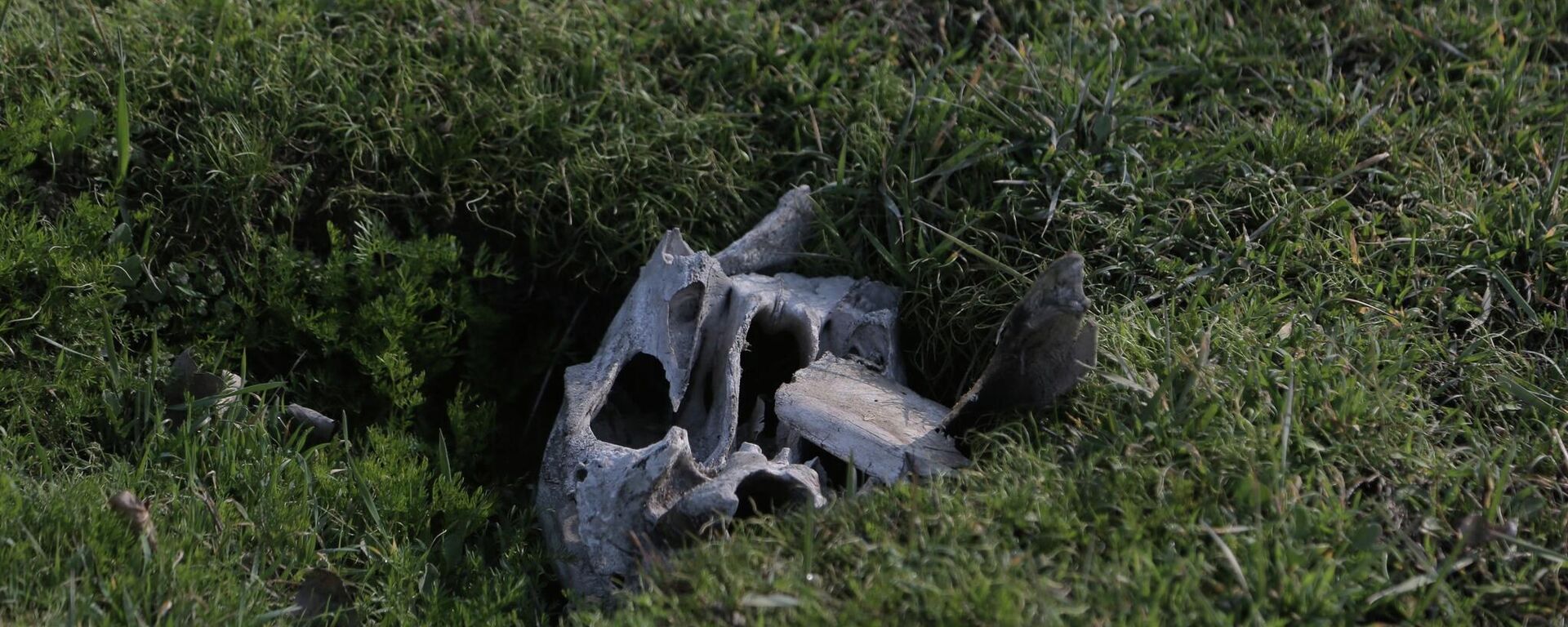 Рекультивация старого кладбища в Оше. Архивное фото - Sputnik Кыргызстан, 1920, 24.03.2026