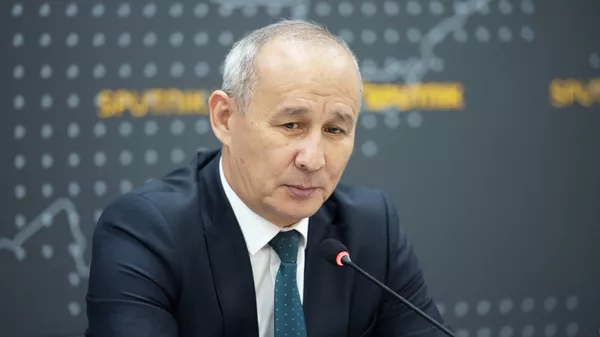 Министр природных ресурсов, экологии и технического надзора Медер Машиев - Sputnik Кыргызстан