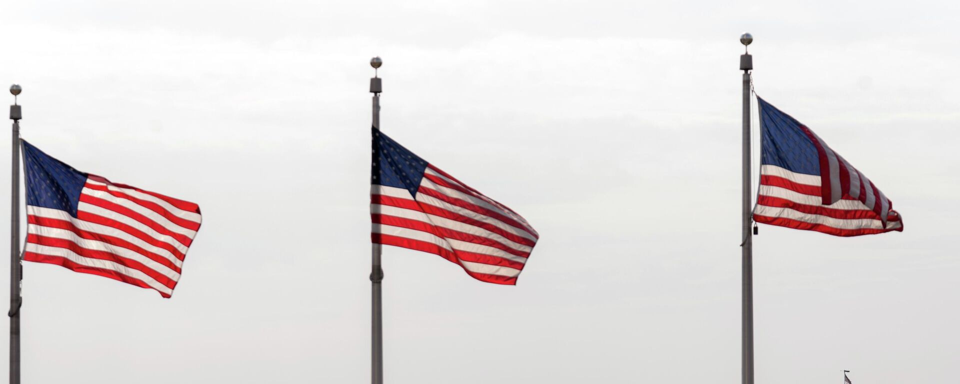 Капитолийдин алдында америкалык желектер. Архив - Sputnik Кыргызстан, 1920, 22.08.2025