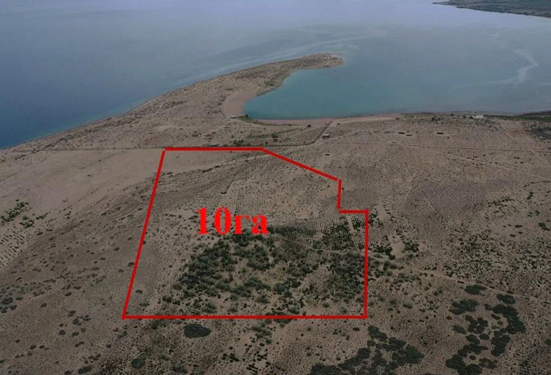 Возврат государству участка на южном берегу Иссык-Куля - Sputnik Кыргызстан, 1920, 14.06.2025