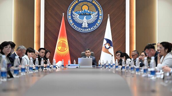 Очередном заседании Совета ЕЭК в режиме видеоконференцсвязи - Sputnik Кыргызстан