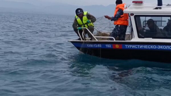 Ысык-Көлдү синтет икалык тордон тазалоо иштери. Архив - Sputnik Кыргызстан