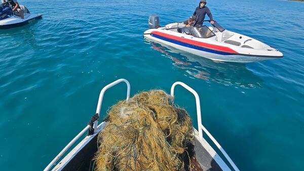 Очистка акватории озера Иссык-Куль от браконьерских сетей - Sputnik Кыргызстан