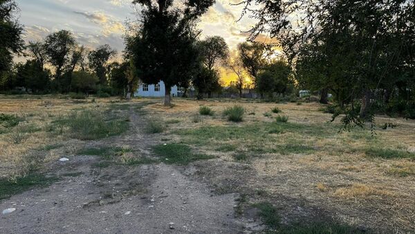 Фиктивный тендер на благоустройство парковой зоны в селе Пригородное  - Sputnik Кыргызстан