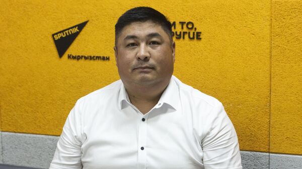 Агартуу министрлигинин мектептик, мектептен тышкаркы жана кошумча билим берүү башкармалыгынын башкы адиси Амангелди Сыдыбаев - Sputnik Кыргызстан