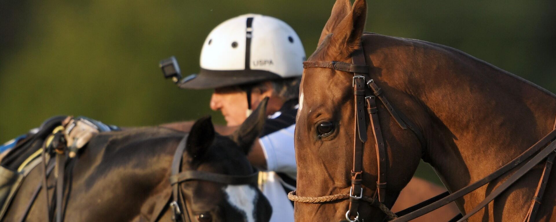 Судья соревнований по конному поло. Архивное фото Судья соревнований по конному поло. Архивное фото - Sputnik Кыргызстан, 1920, 25.07.2025