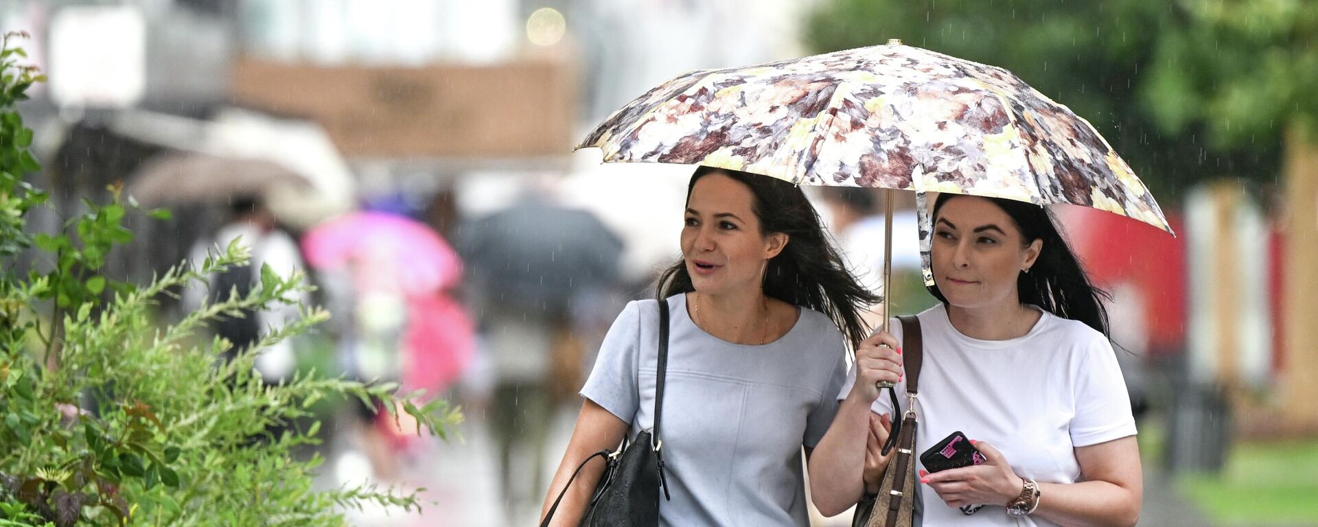 Жаан-чачындуу аба ырайы - Sputnik Кыргызстан, 1920, 03.08.2025