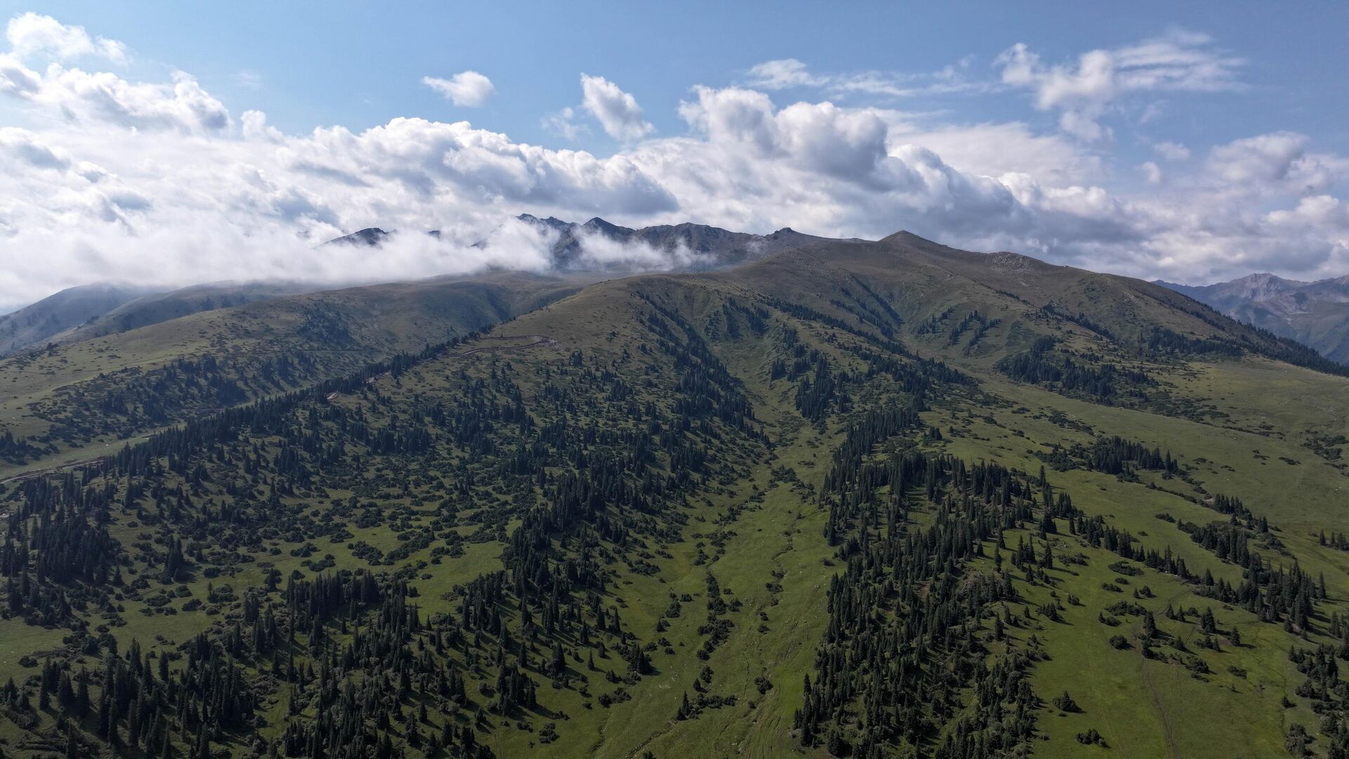 Ак-Суй районунун тоолору. Архивдик сүрөт - Sputnik Кыргызстан, 1920, 08.08.2025