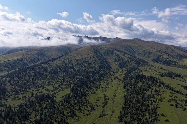 Долбоор Жыргалаң, Боз-Учук жана Ак-Булак аймактарын камтыйт - Sputnik Кыргызстан