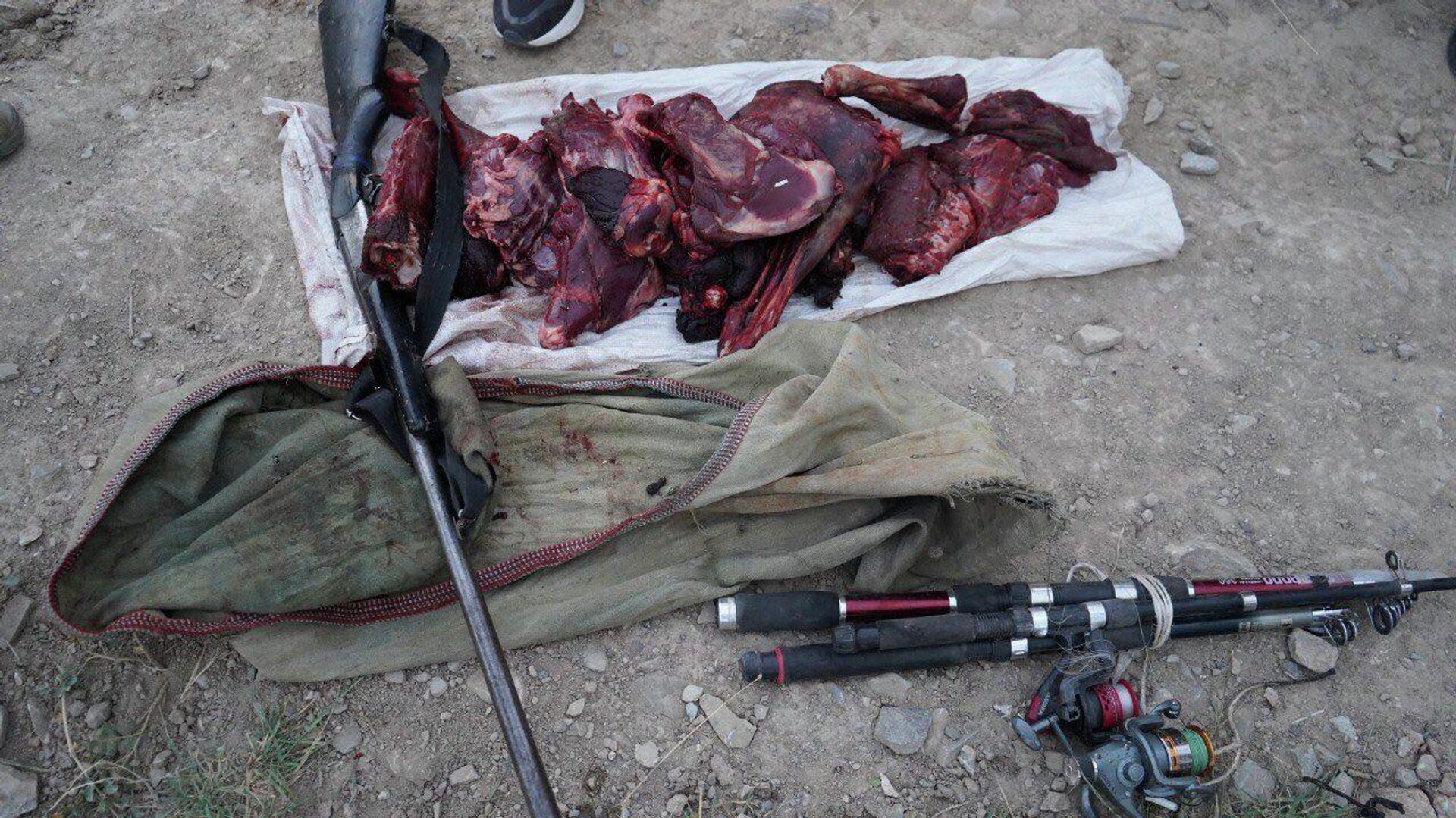 Задержание браконьера, за незаконную охоту на горного козла в Нарынской области - Sputnik Кыргызстан, 1920, 09.08.2025