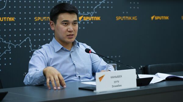 Начальник Управления координации ЕАЭС МЭиК КР Элимбек Каныбек уулу - Sputnik Кыргызстан