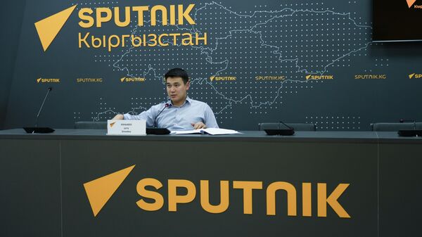 Начальник Управления координации ЕАЭС МЭиК КР Элимбек Каныбек уулу - Sputnik Кыргызстан