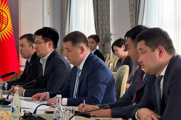 Визит проходит по приглашению министра экономики и коммерции КР Бакыта Сыдыкова - Sputnik Кыргызстан