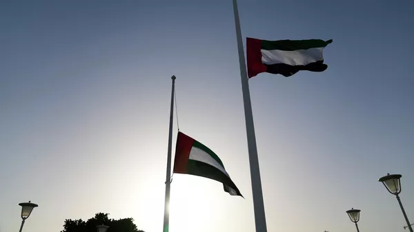 БАЭнин желеги - Sputnik Кыргызстан