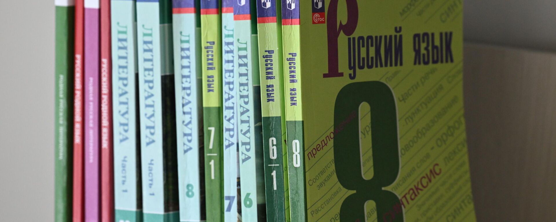 Учебники по русскому языку и литературе. Архивное фото - Sputnik Кыргызстан, 1920, 15.08.2025