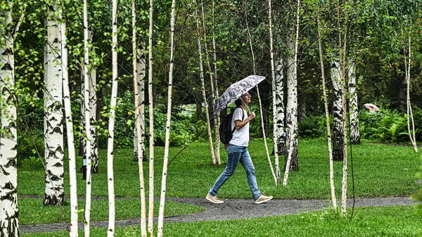 Жамгырлуу аба ырайы - Sputnik Кыргызстан