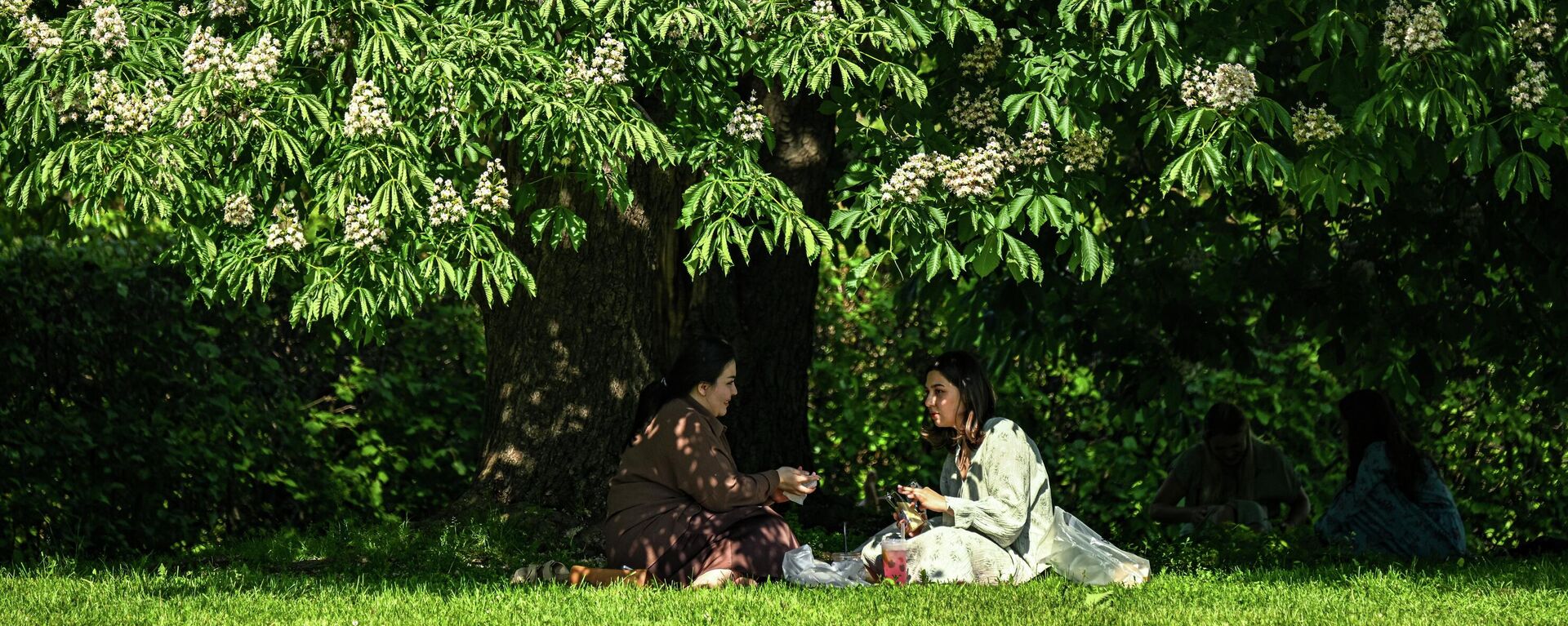 Жайкы аба ырайы. Архив - Sputnik Кыргызстан, 1920, 24.08.2025