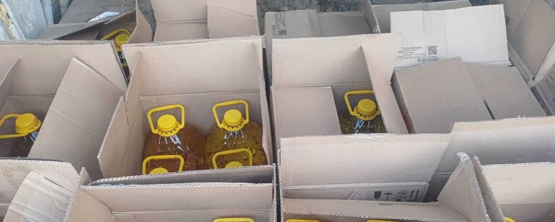 Молдовановкадагы №27 колонияда май уурдалган - Sputnik Кыргызстан, 1920, 18.08.2025