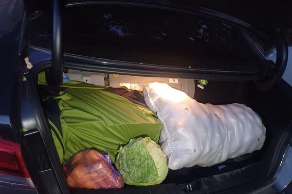 Замначальника по финансово-хозяйственным вопросам пытался вывезти из колонии в Молдовановке 40 килограммов картофеля и 340 литров растительного масла - Sputnik Кыргызстан