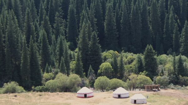 Урочище Каркыра - Sputnik Кыргызстан