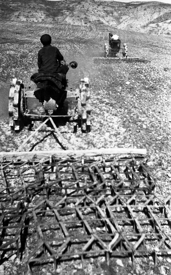 Тракторист күздүк буудайды малалап жатат. Ош облусу, Сузак району, 1941-жыл. - Sputnik Кыргызстан