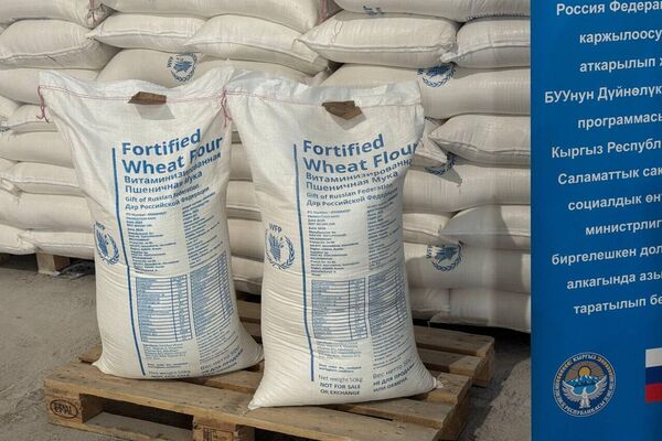 Для населения юга Кыргызстана поступило 16 вагонов обогащенной пшеничной муки общим объемом 1 тысяча 80 тонн, а также растительное масло - Sputnik Кыргызстан