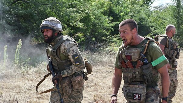 Украин аскер кызматкерлери Запорожье областында - Sputnik Кыргызстан