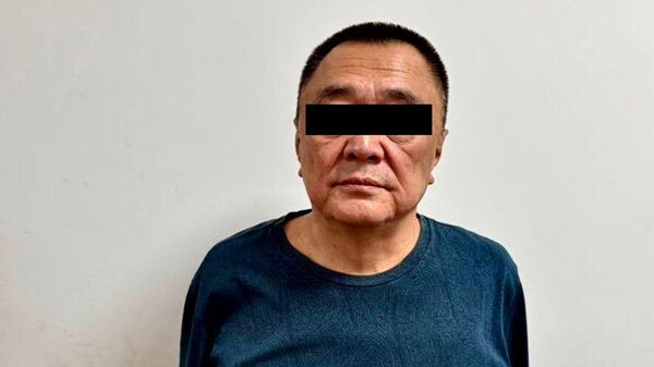 Кылмыштуу топту каржылап, акча адалдоого шектелген жаран кармалды - Sputnik Кыргызстан