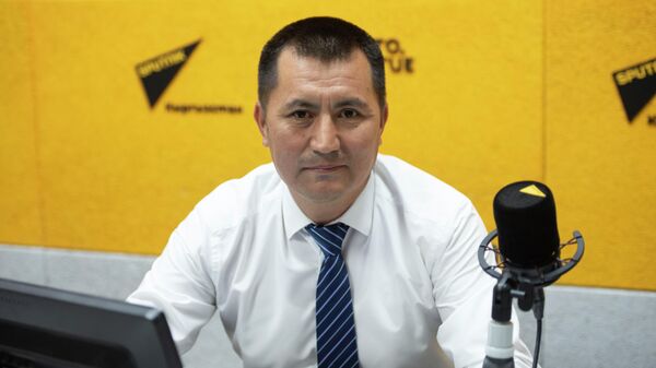 Мамлекеттик кызмат жана жергиликтүү өз алдынча башкаруу иштери боюнча мамлекеттик агенттигинин жергиликтүү өз алдынча башкарууну өнүктүрүү башкармалыгынын башчысы Бактыярбек Жээнбаев - Sputnik Кыргызстан