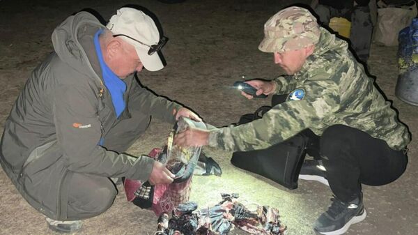 Нарында кийик аткан адамдарга 640 миң сом айып салынды - Sputnik Кыргызстан