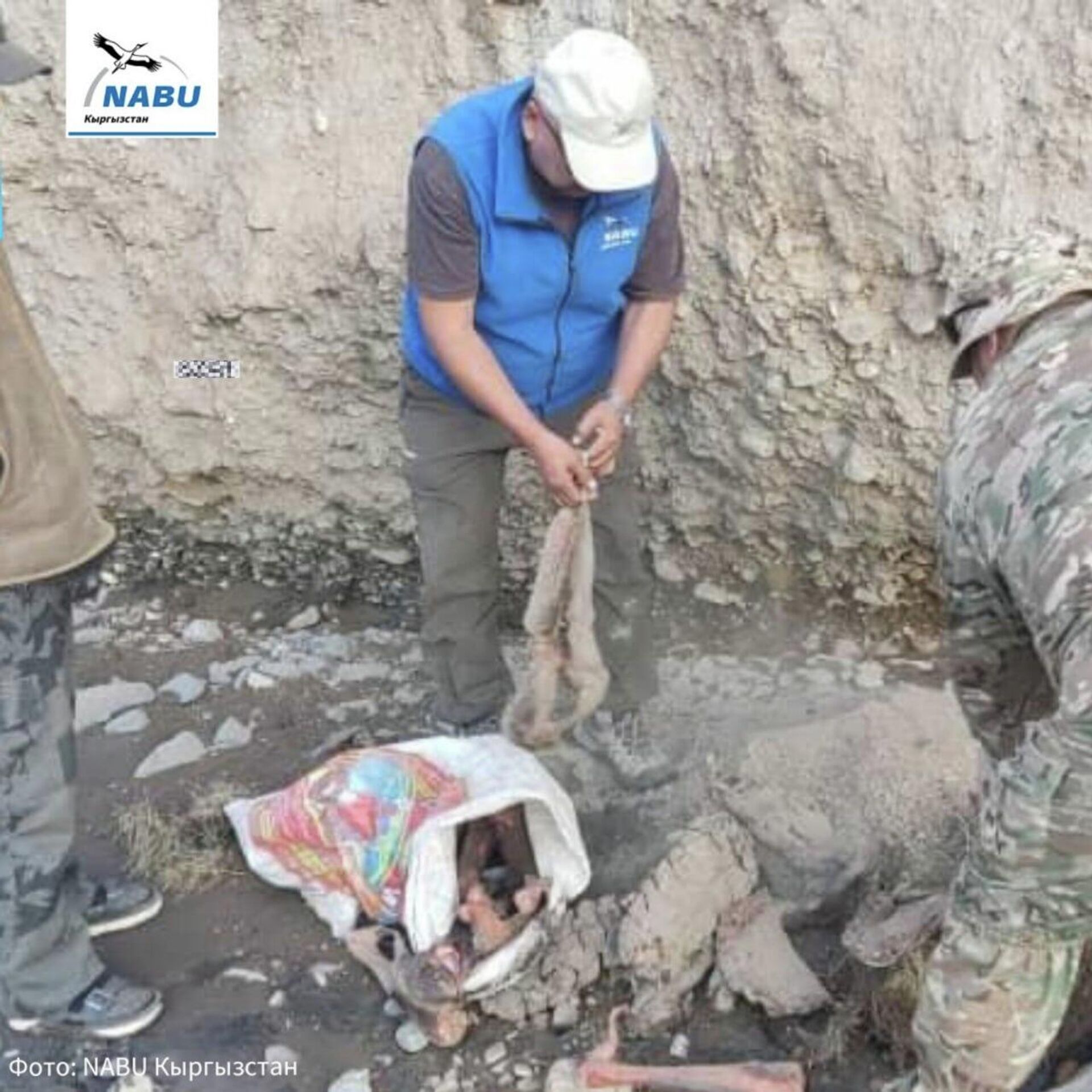 Двух любителей мяса горных козлов оштрафовали на 320 тысяч сомов - Sputnik Кыргызстан, 1920, 29.08.2025