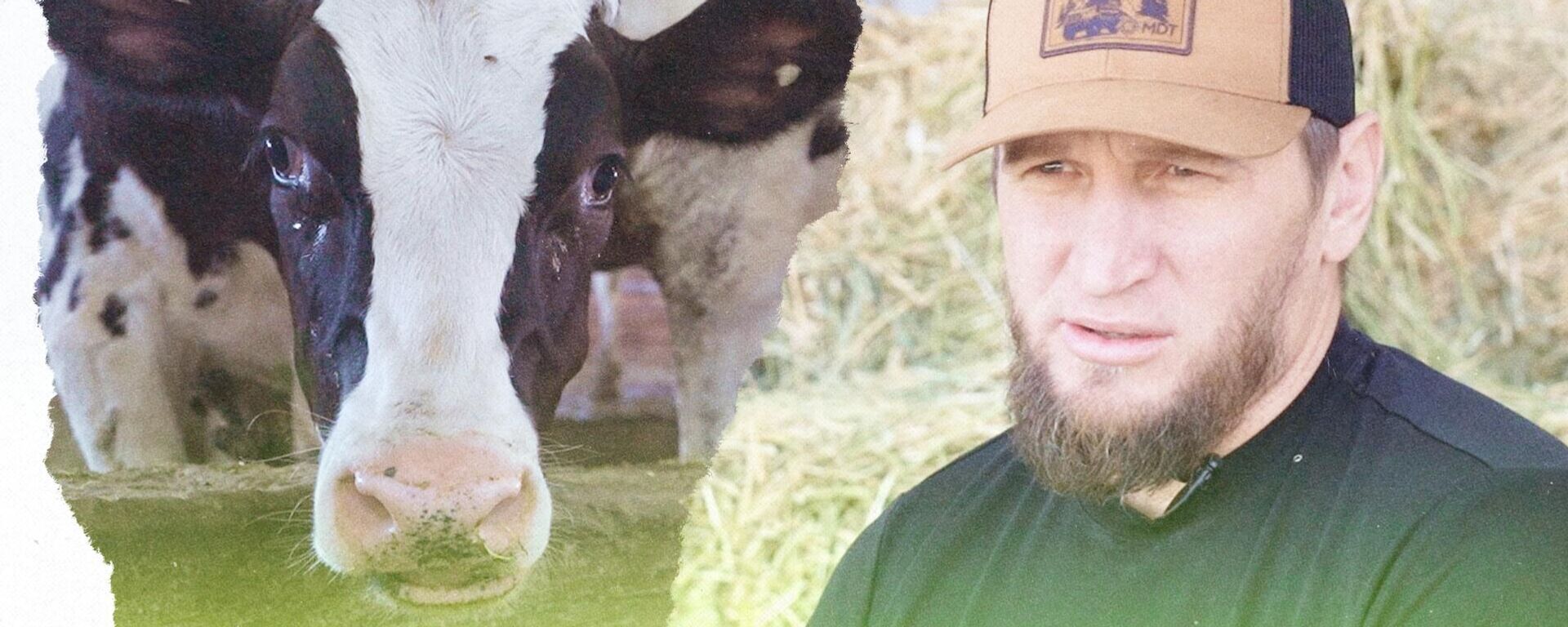 Эти коровы стоят тысячи евро! История успеха кыргызстанского фермера - Sputnik Кыргызстан, 1920, 02.09.2025