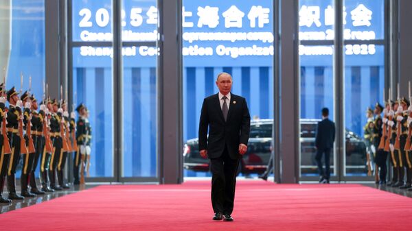 Россия президенти Владимир Путин. Архивдик сүрөт - Sputnik Кыргызстан