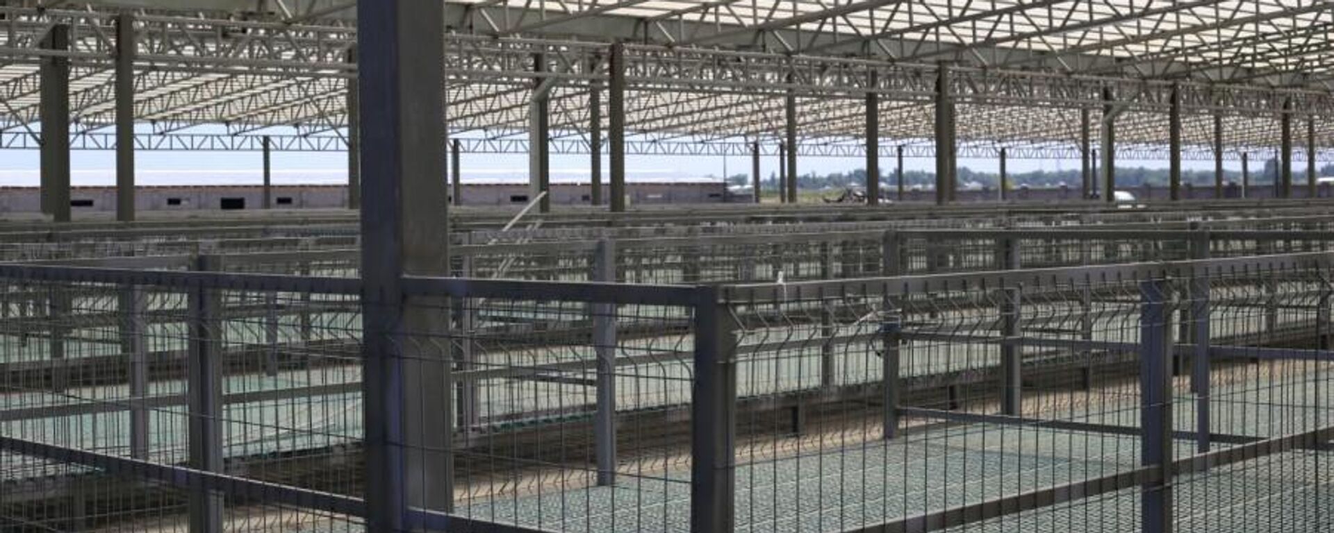 Строительство нового скотного рынка в Бишкеке - Sputnik Кыргызстан, 1920, 02.09.2025