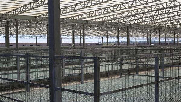 Строительство нового скотного рынка в Бишкеке - Sputnik Кыргызстан