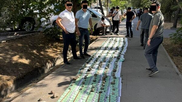 Начальника Чаткальского лесхоза задержали с взяткой 5 млн сомов - Sputnik Кыргызстан