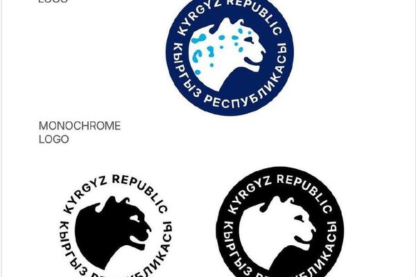 Министерство природных ресурсов, экологии и технического надзора вынесло на общественное обсуждение соответствующий проект постановления кабинета министров - Sputnik Кыргызстан