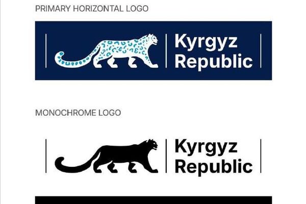 Согласно предложенному проекту, логотипы исполнены в цветном или черно-белом виде - Sputnik Кыргызстан