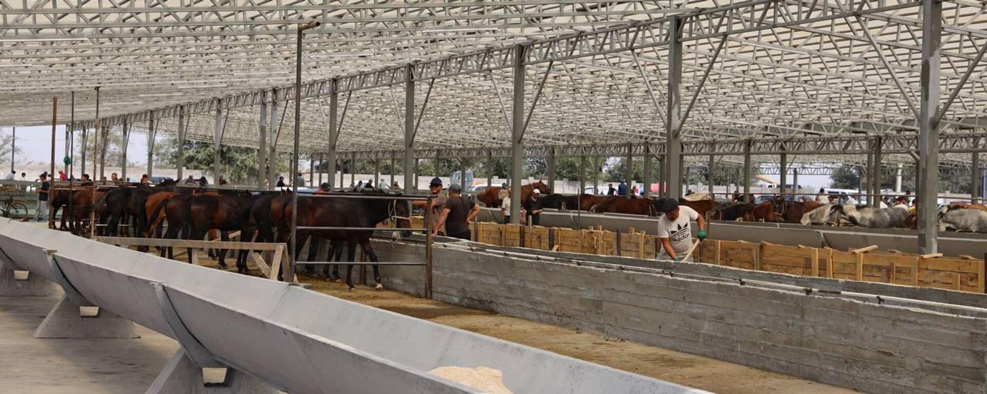 Бишкекте  Алтын казык деп аталган жаңы мал базар иштей баштады - Sputnik Кыргызстан, 1920, 06.09.2025