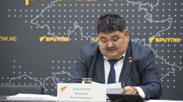 Заместитель министра экономики и коммерции Искендер Асылкулов - Sputnik Кыргызстан