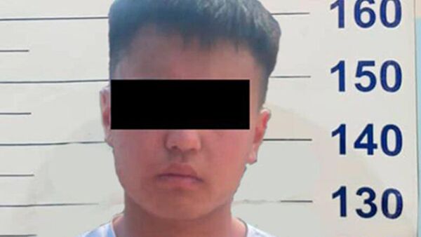 Задержание подростка подозреваемого в убийстве под Бишкеком - Sputnik Кыргызстан