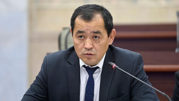 Министр здравоохранения Эркин Чечейбаев - Sputnik Кыргызстан