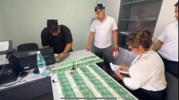 Жалал-Абадда 5 мектептин директорлору иштен алынып, бирөө кармалды - Sputnik Кыргызстан