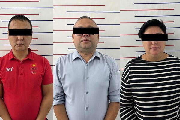 Возбуждено уголовное дело. Замдиректора департамента, начальник финансового отдела и директор компании взяты под стражу, ведется следствие - Sputnik Кыргызстан