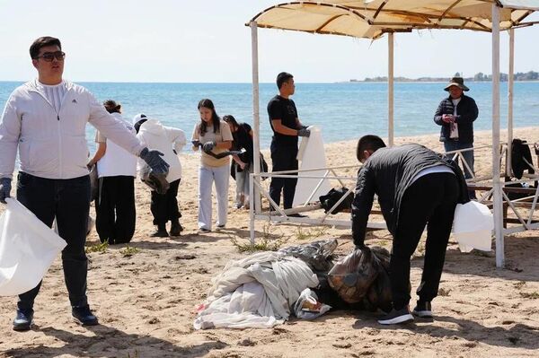 Ысык-Көлдө масштабдуу ишембилик өтүп, ыктыярчылар менен муниципалдык кызматкерлер 100 каптан ашык таштанды чогултушту - Sputnik Кыргызстан